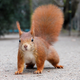 Foto: flickrfavorites / Flickr, bajo licencia Creative Commons